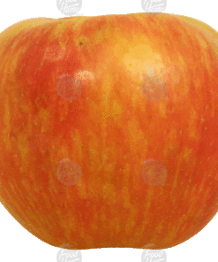 Value Center Market honey crisp whole fresh apple, price per pound 1lb