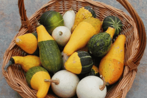 Value Center Market gourds 1 pound