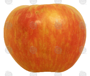 Value Center Market honey crisp whole fresh apple, price per pound 1 pound