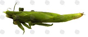Value Center Market corn, ear 1 count