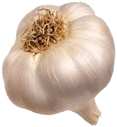Value Center Market garlic clove 1 count