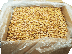Odeco roasted medium size pistachios of Iran 30 pound