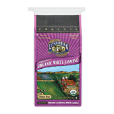 Lundberg Family Farms white jasmine organic rice 25 pound
